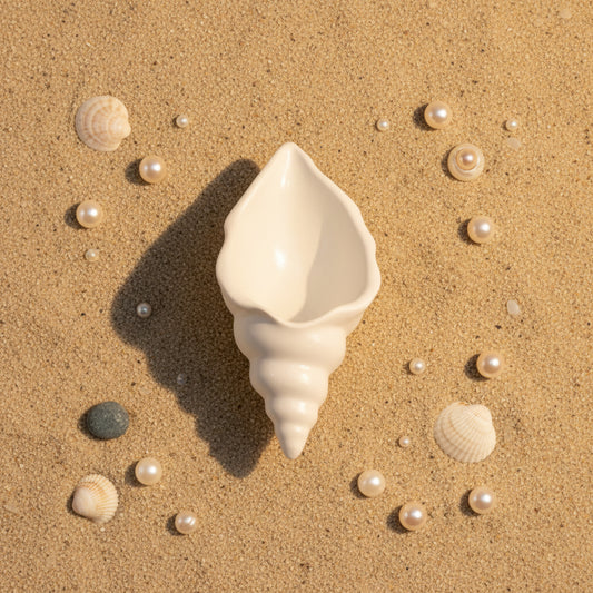 Conch shell 1