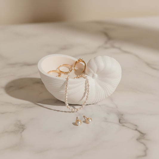Conch shell 2
