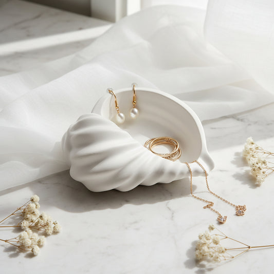 Conch shell 3