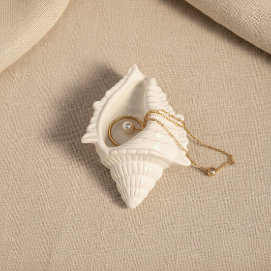 Conch shell 4